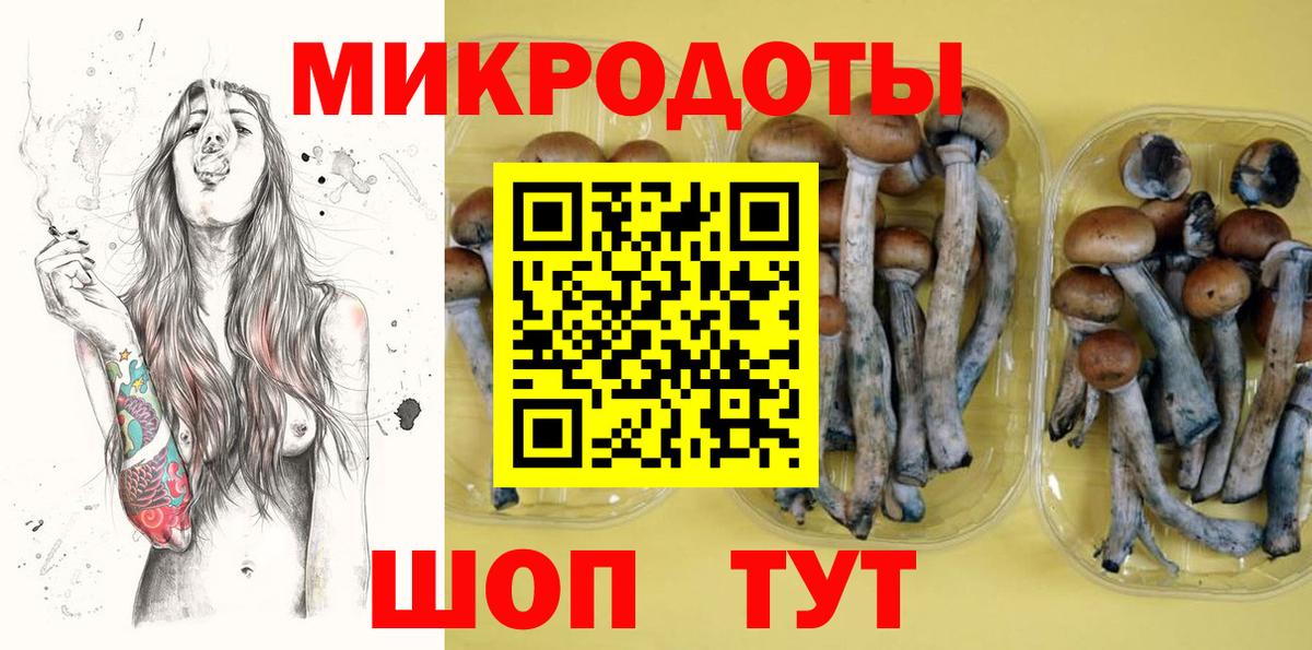 Протвино  Галлюциногенные грибы Psilocybe  Вход с VPN 