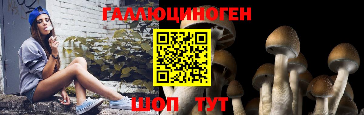 Галлюциногенные грибы прущие грибы Протвино